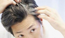 吃瓜爆料做头发技术好,吃瓜爆料，揭秘做头发技术高手背后的秘密